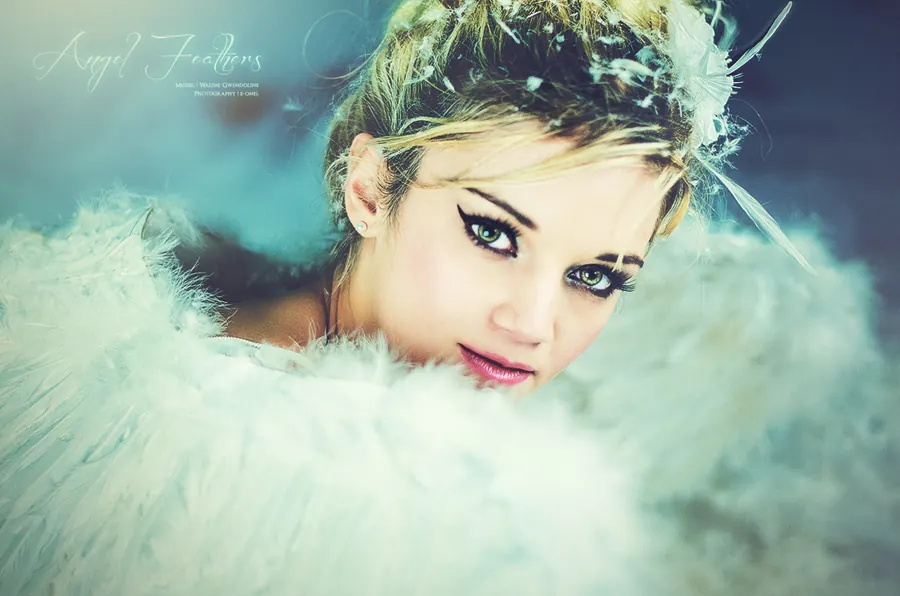 Angel Feathers — photographie 2