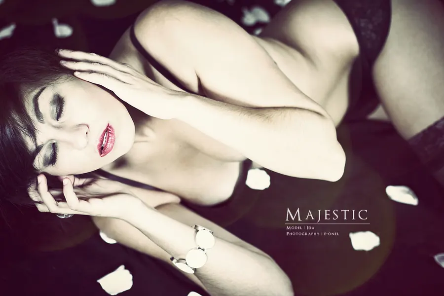 Majestic - Fashionable — photographie 8